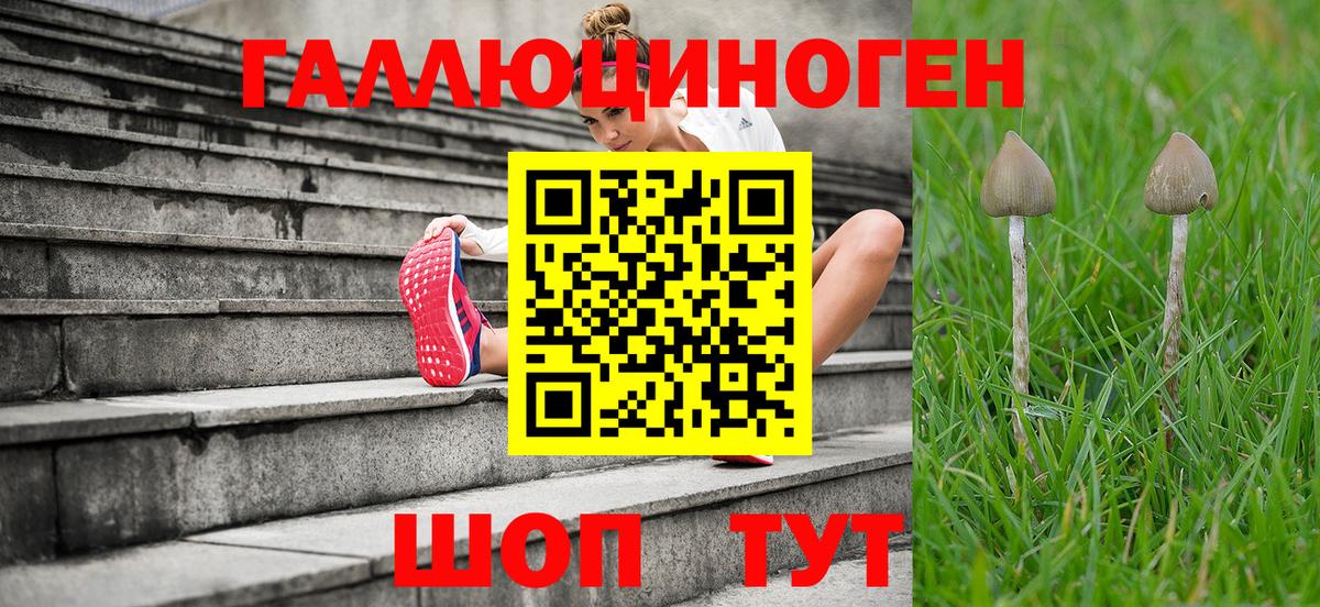 Псилоцибиновые грибы GOLDEN TEACHER Камышлов