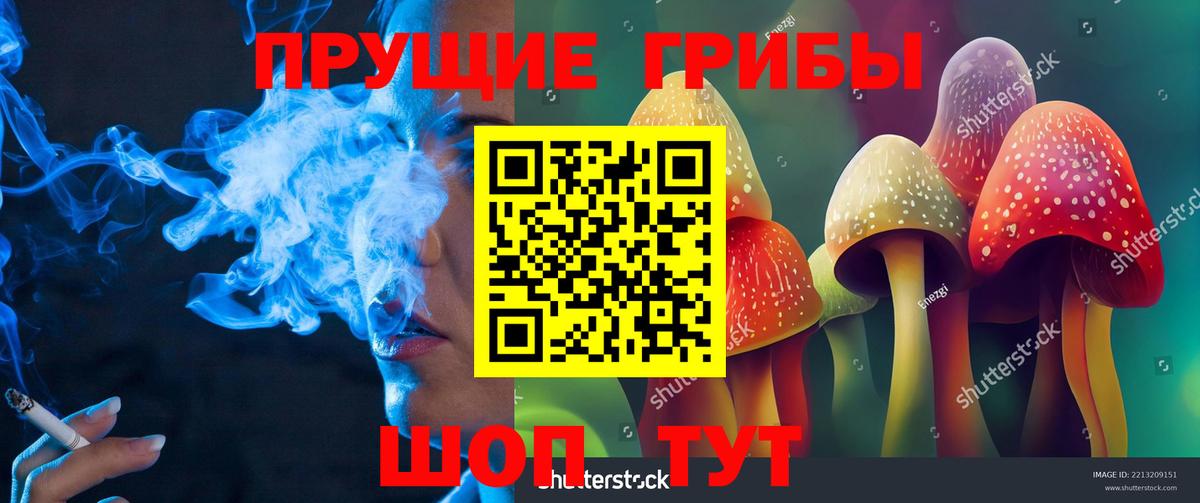 Псилоцибиновые грибы Psilocybe  Вход с VPN  Камышлов  Галлюциногенные грибы мухоморы 